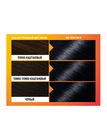 Краска для волос Garnier Color&Shine 2.10 Черничный черный-4